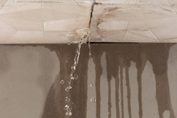 Professional Structural Drying technician working in Cibecue, AZ